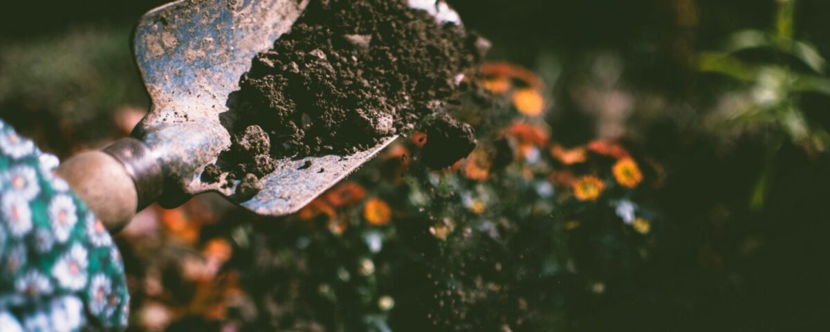 Close-up of a gardening shovel with soil, surrounded by vibrant blooms in an outdoor garden setting.