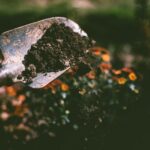 Close-up of a gardening shovel with soil, surrounded by vibrant blooms in an outdoor garden setting.